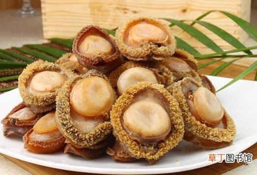 干鲍鱼怎么吃 干鲍鱼的食用方法
