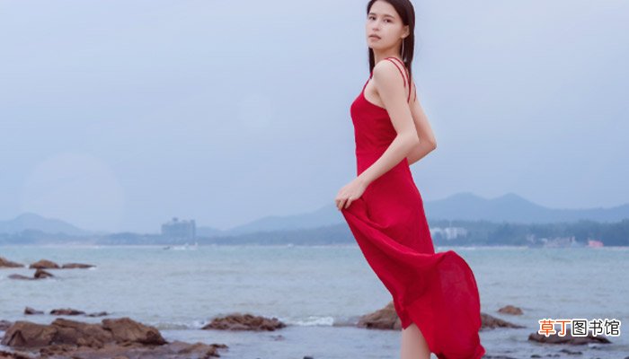seide是什么面料seide是哪种面料