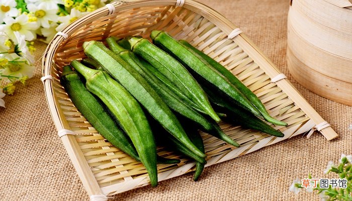 秋葵有什么作用
