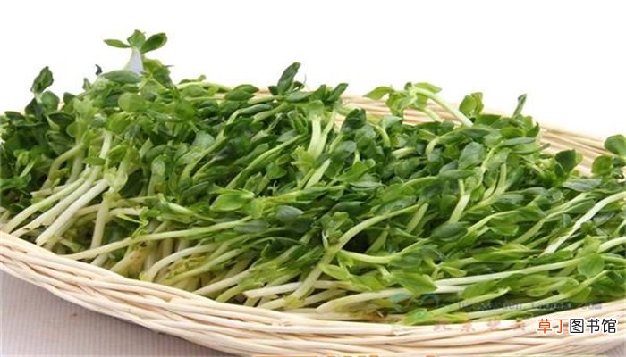 秋分吃什么传统食物