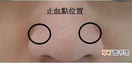 秋季流鼻血更加频繁，怎样才能有效止血呢?
