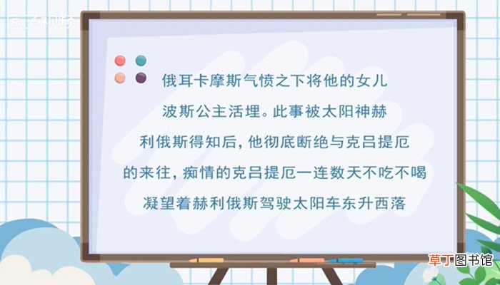 向日葵的花语和寓意