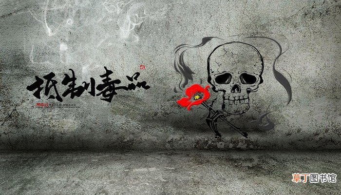 禁毒日是哪一年成立的
