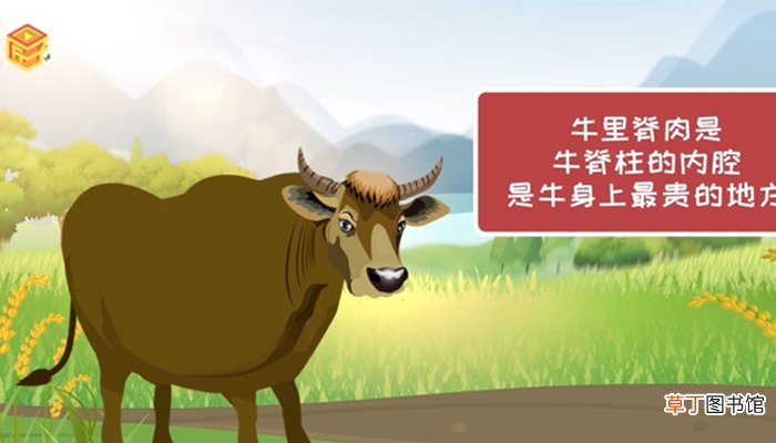 牛肉最嫩的部位叫什么