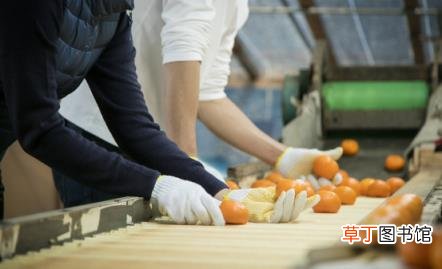 京东自营店 想入驻京东自营可以看这里