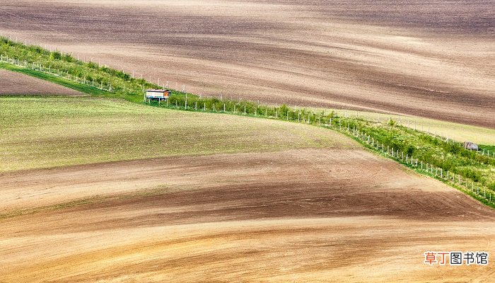 世界上国家间面积最大的陆地争议地区是哪里