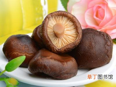 这几种食物助你消脂减肥，最后一个有些人天天吃