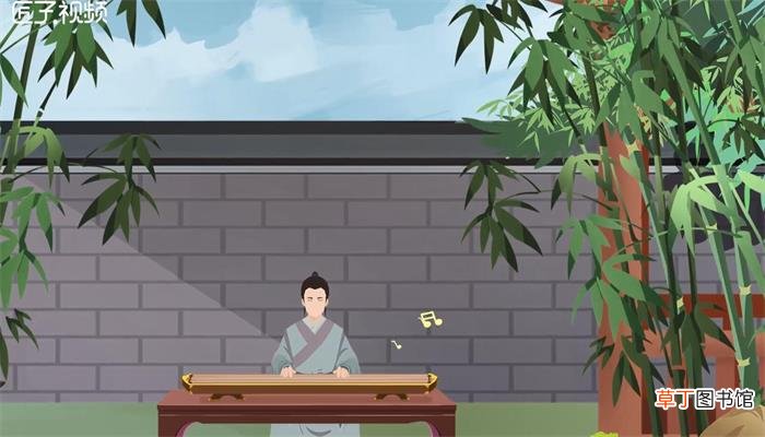 竹子是什么植物