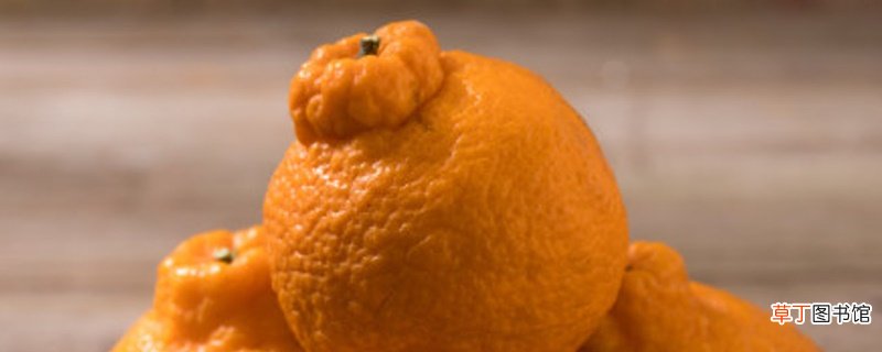 丑八怪水果