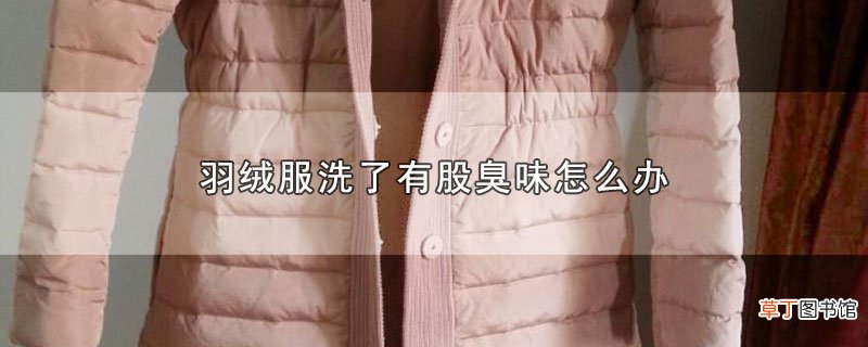 羽绒服洗了有股臭味怎么办