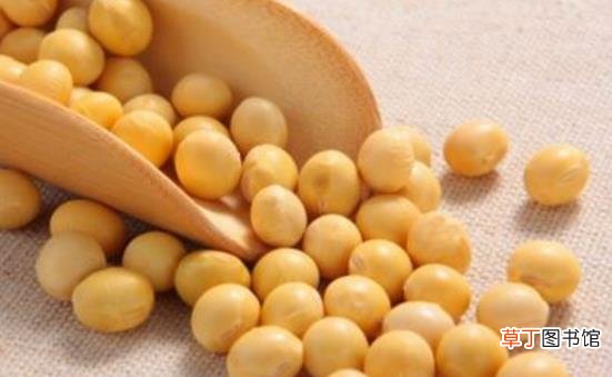 七种食物对男性保健养生有益日常可以多多食用
