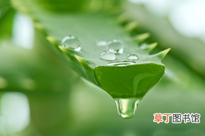 额头上的痘痘如何消除 额头上长痘痘怎么办