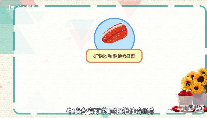 牛腩是牛的什么部位