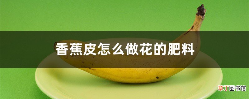 香蕉皮怎么做花的肥料