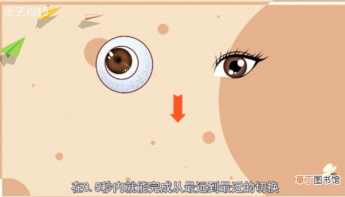 人的眼睛有多少像素