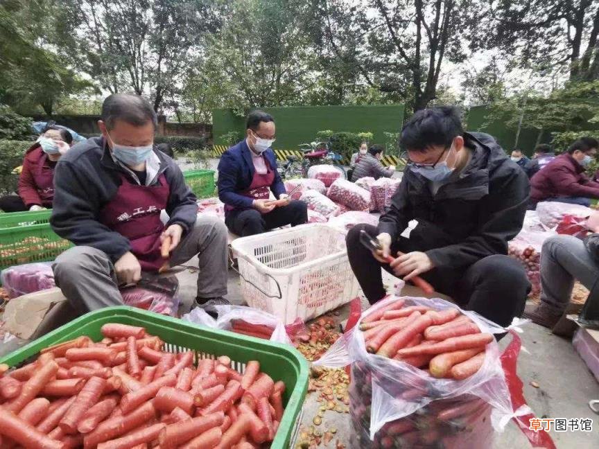 我的博导去削萝卜了 成都理工大学吃喝没人管辟谣