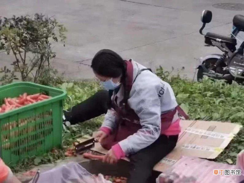 我的博导去削萝卜了 成都理工大学吃喝没人管辟谣