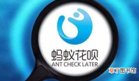 蚂蚁合花一个人能用吗 蚂蚁合花是干嘛的