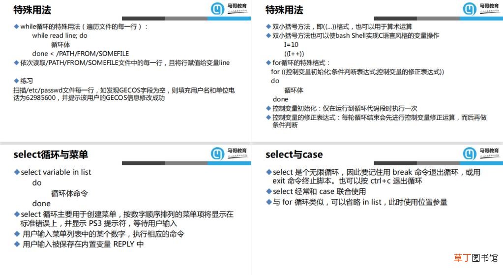 常用的shell脚本编程基础 shell脚本练习指南