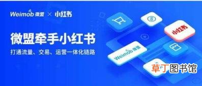话语权重归消费者和商家 为什么双十一主播没了全网最低价