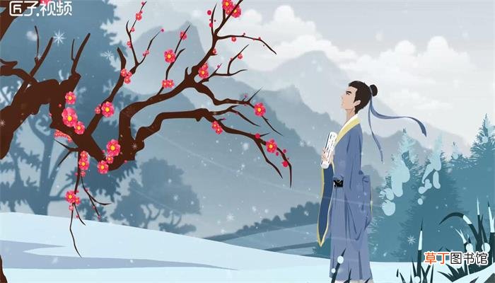 梅花代表什么人