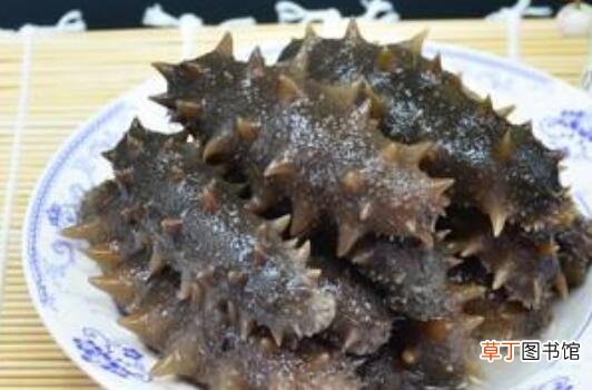 腰参和刺参的区别 吃腰参的好处
