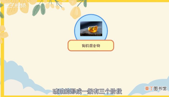 关于琥珀的由来