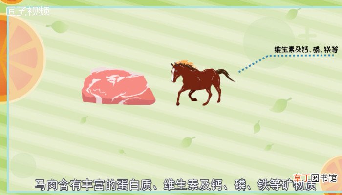 马肉能吃吗