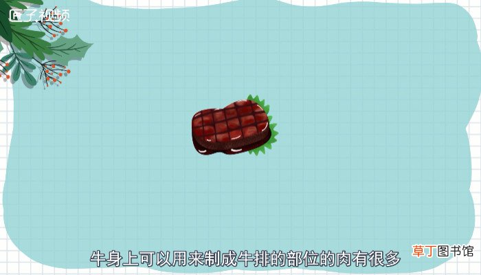 牛排是牛身上哪里的肉