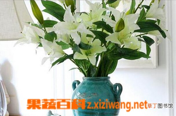 养百合花水里放什么 养百合花要放多少水