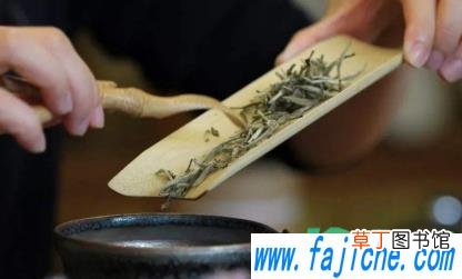 双层玻璃杯泡什么茶好 双层玻璃杯能泡茶叶吗