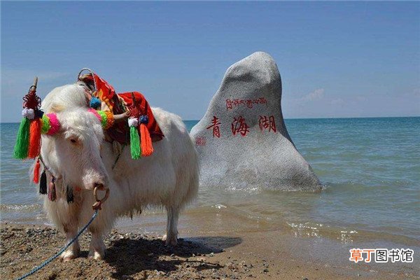 8月份去青海穿什么衣服