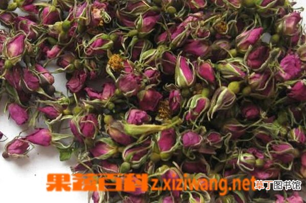 野生玫瑰花的功效和图片
