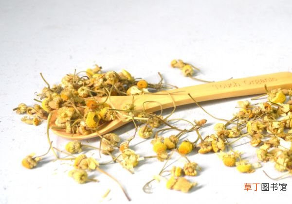 如何自制眼膜 自制眼膜方法