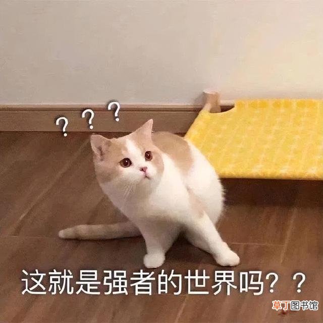 电脑图片查看器无法预览图片 电脑图片查看器