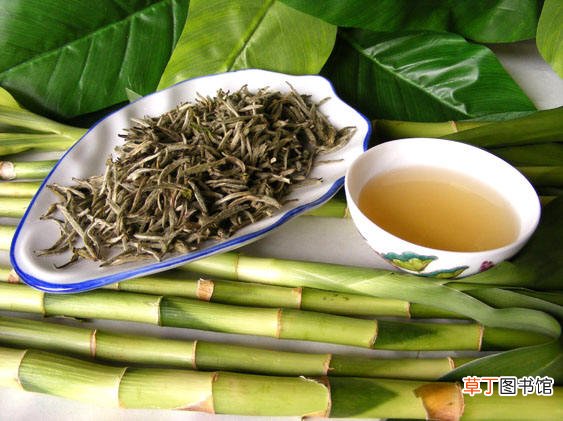 喝什么茶可以提高免疫力-十大有助于增强免疫力的茶饮推荐
