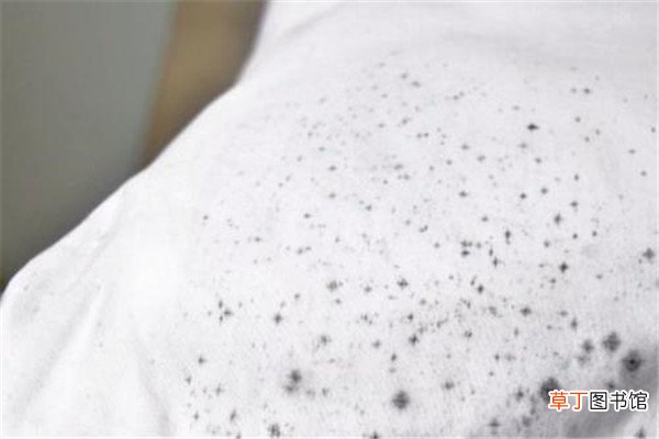 白衣服长霉点能洗掉吗