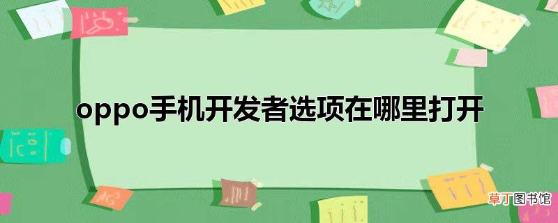 oppo手机开发者选项在哪里打开