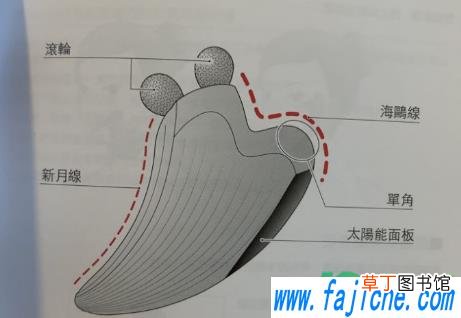 refa刮痧板用完后怎么清洗 refa刮痧板可以用水冲洗吗
