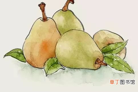 夏季防中暑吃什么食物-夏季吃什么水果能预防中暑