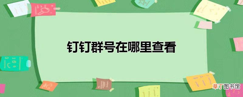钉钉群号在哪里查看