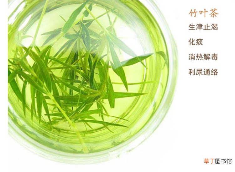 喝什么茶能治口臭-常喝这六类花茶让你摆脱口臭口苦