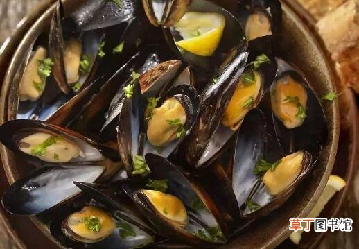 淡菜怎么吃 淡菜的食用方法大全