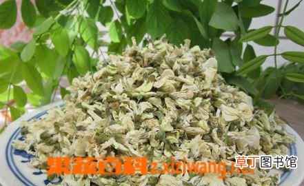 槐花的功效与营养价值