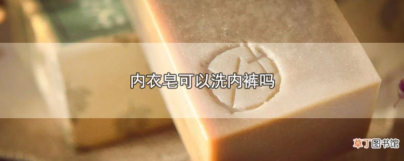 内衣皂可以洗内裤吗