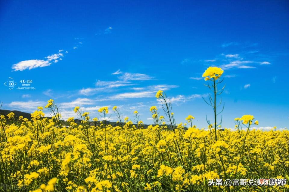 目标权重是什么意思 目标值和权重怎么写