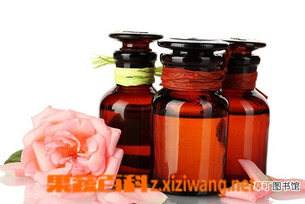玫瑰花精油的功效与作用