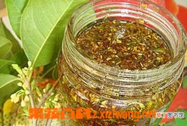 桂花蜜如何做 桂花蜜的做法大全