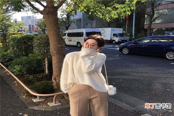 什么是浣熊毛毛衣