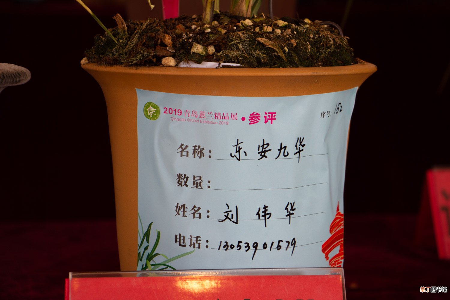 兰花怎么选盆，用什么盆栽培最好
